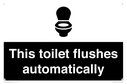 this-toilet-flushes-automatically~